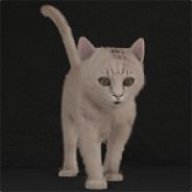 Danny_2395